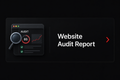 Website Audit Report